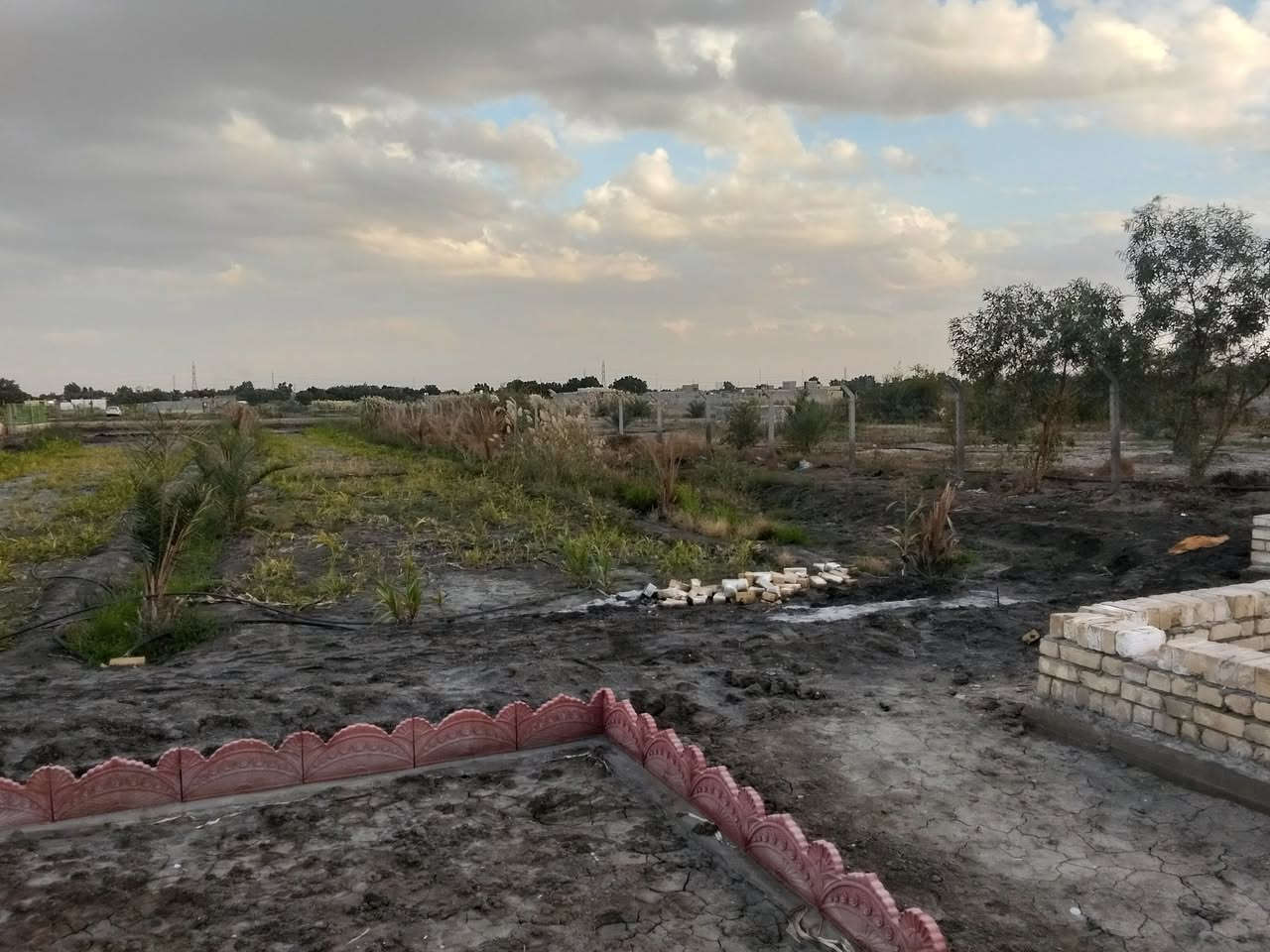 السلام عليكم دونم للبيع بلحولي مال الجامعه زراعي الواجه ١٠٠نزال ٢٥يعني يرهم تفصال قطع الشارع ٢٠متر الدونم كله وجه مسيج رباط وبي ارسي اوبيه نخل السعر ٥٠مليون اوقابل لتفاوض ***********
