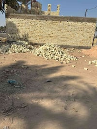 ارض للبيع مساحه 50 م واجهه 5 ونزال 10  هور رجب قرب مكتب الشارقه السعر ...