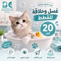 ✨ عرض لفترة محدودة! ✨  دلّل قطتك بأفضل عناية وبسعر مميز! 🐱🛁  💥 غسل + ح...