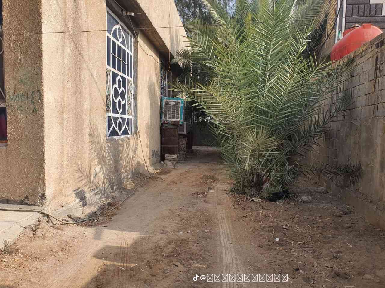 السلام عليكم بيت طابو زراعي سند ٢٥بأسمي المساحه الكليه ٥٠٠واقع حال ٦٠٠  محتويات البيت طابق واحد غرفة نوم +صاله  ومطبخ ومنور و٣محلات مأجرهن العنوان بني سأله على الشارع الرئيسي سنتر قرب الساده الطلقانين 
السعر ١٠٠ وبي مجال الاستفسار ***********
