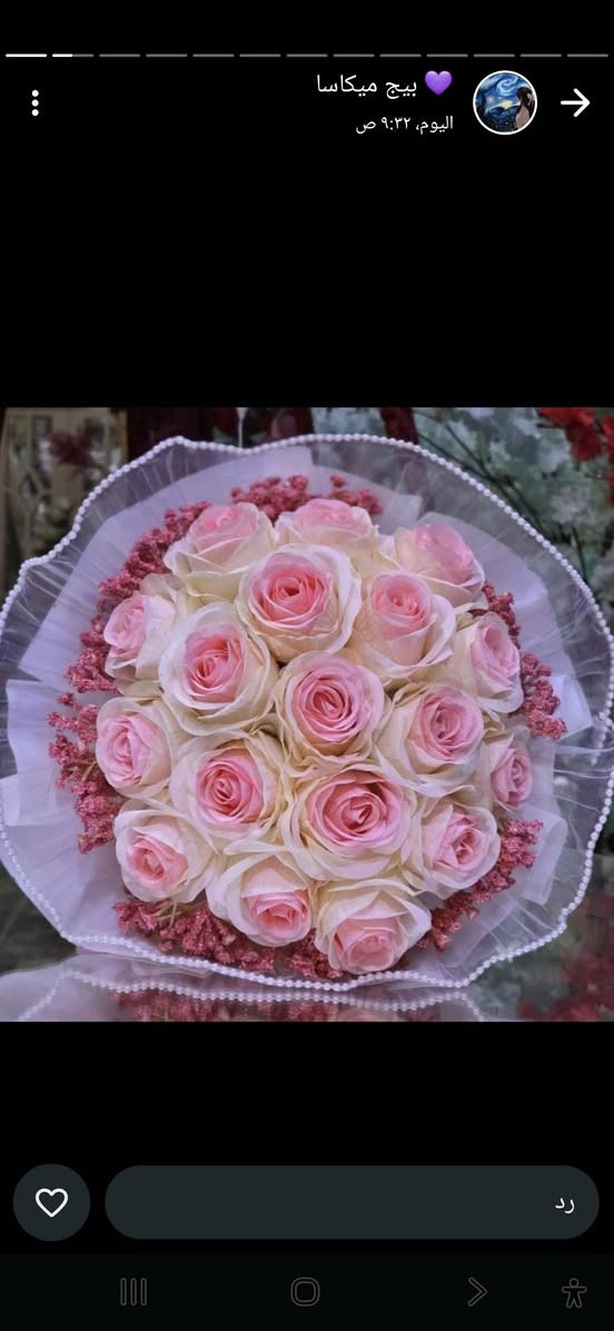 بسم الله الرحمن الرحيم
عمر القيسي للهدايا والمواد المنزليه العنوان صلاح الدين الشرقاط السوك الجديد الشارع الرئيسي مجاور دكتور فيصل العكيدي شارع المديريه رقم المحل24 

*********** واتساب
