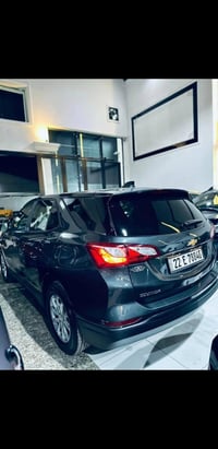 اكيونيكس LS • ٢٠٢٠ • ضرر جانبي