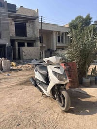 سكنس ياباني • خطين • الدوره الشراي