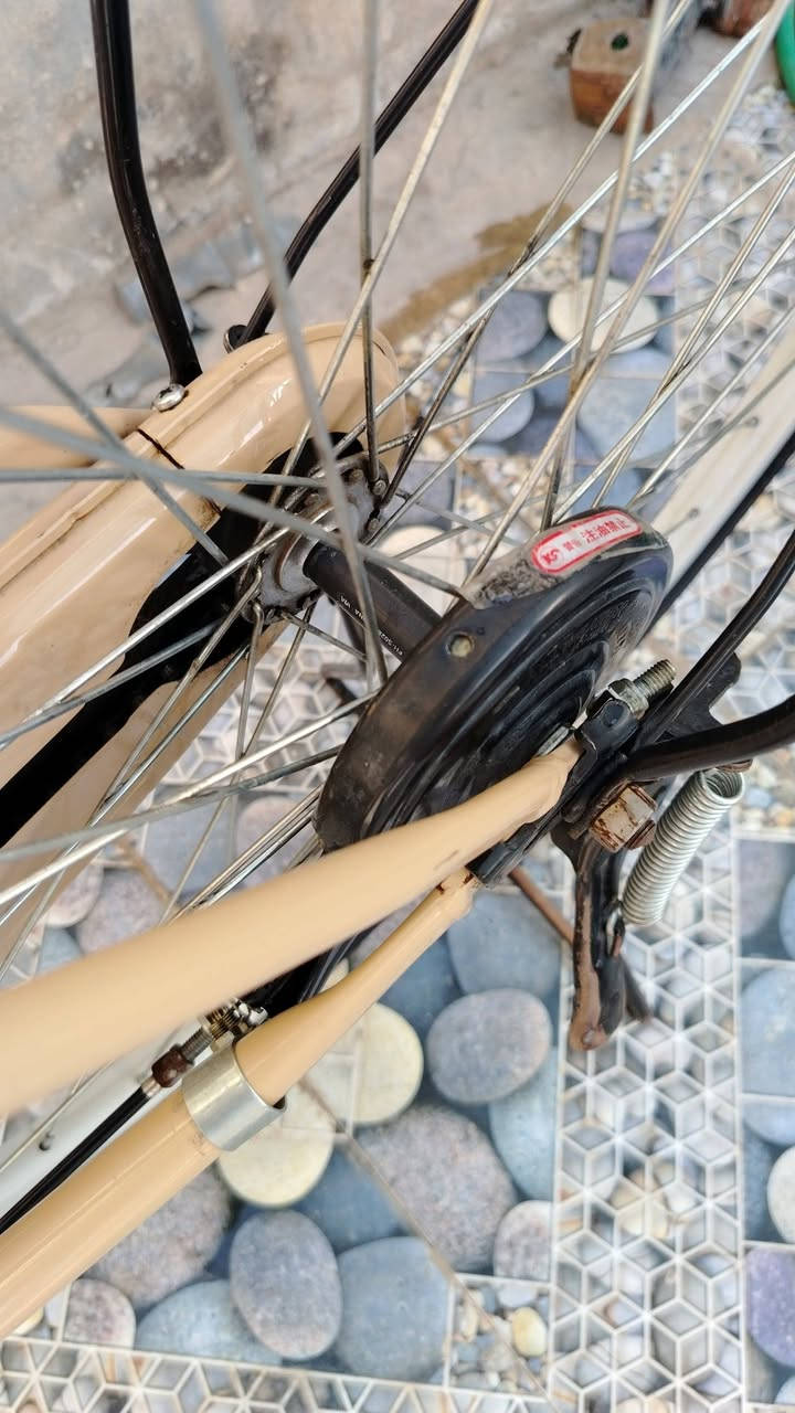 بايسكل البيع موديل 2024 لون حلبي السعر 90 وبي مجال قليل العنوان الديوانية حي الجامعه


**إذا كنت صاحب هذا الإعلان وتريد حذفه لأي سبب، رجاءا أرسل رسالة إلى الدعم الفني**