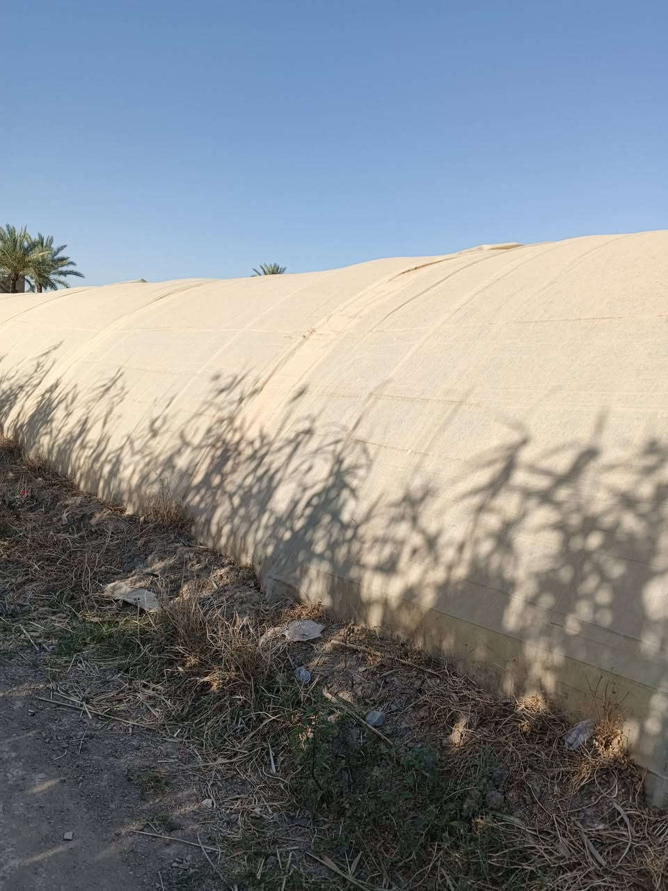 بيوت بلاستيكية عدد2البيت 21قوس عراقي
كاملات هنه ونايلونهن جديد
العنوان بابل مشروع المسيب رقم الهاتف ***********
