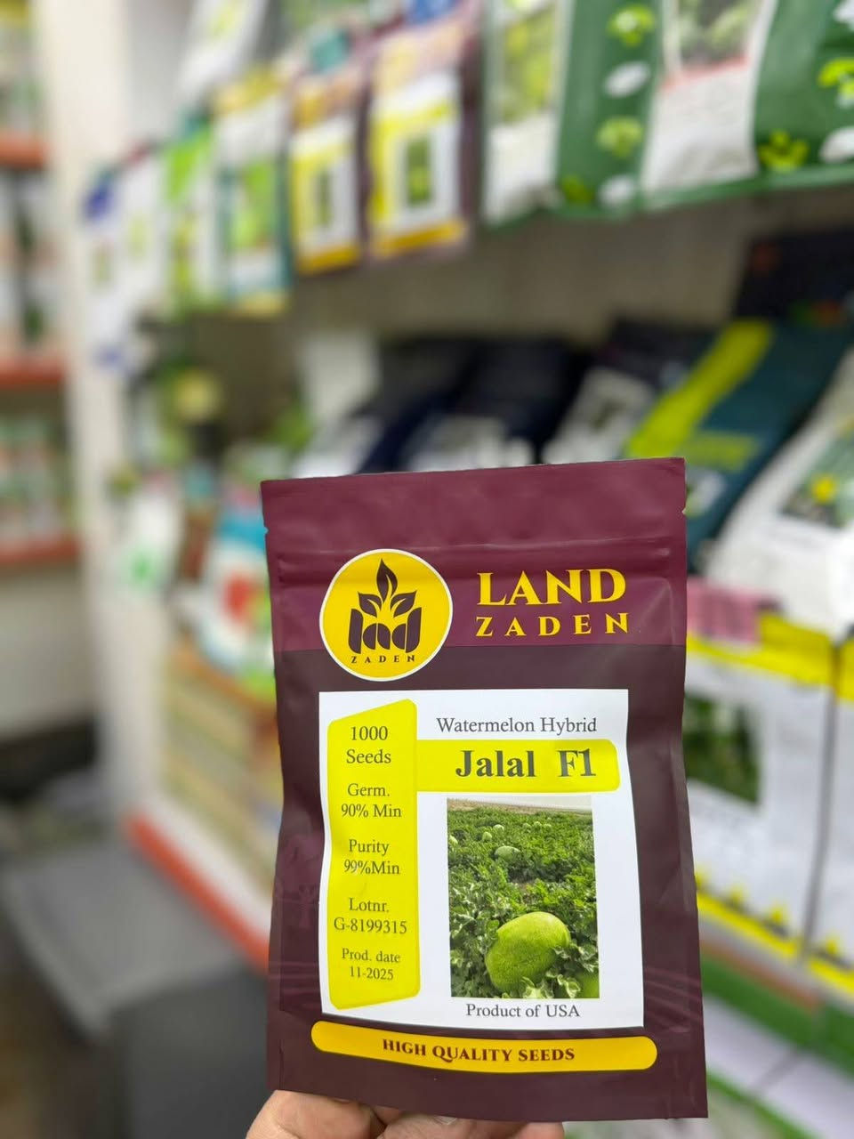 وصلتنا وجبة بذور (رگي جلال) الأصلية، هولندي المنشأ امريكي الإنتاج – دفعة جديدة ومحدودة 🌟

هذا الصنف يعتبر من أقوى وأفضل أصناف الرگي المطلوبة بالسوق:

🛒 لون مرغوب تسويقيًا عند الزبون والتاجر

🍉 إنتاج عالي جدًا: 2 إلى 3 ثمرات لكل نبات

⚖️ أوزان ثقيلة: من 16 إلى 22 كغم للثمرة الواحدة

🔴 لب أحمر غامق ومتجانس وطعم حلو مرغوب

💪 تحمل عالي للأمراض والإجهادات المناخية

🚚 يتحمل الشحن والنقل لمسافات طويلة بسبب سماكة 
القشرة وصلابتها

✔️ صنف اثبت نجاحه وجدارته في السنوات السابقة 
✔️ مردود عالي وربحيته ممتازة للمزارع

📍 متوفرة جملة ومفرد 
كن مستعداً للموسم القادم واطلب كميتك الآن!
📞 للاستفسار والطلب:
***********
***********
