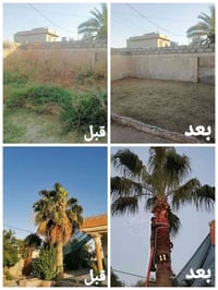 تنسيق حدائق • قص وتقليم • تنظيف حدائق
