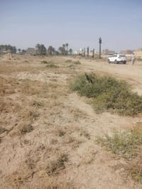 قطع زراعي سند ٢٥ مداور بسم المشتري (حي الزهراء) تبعد عن التبليط ١٠٠ مت...