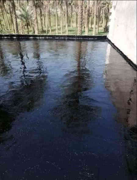 متوفر لدينا كل انواع الجير و باسعار مناسبة
***********
