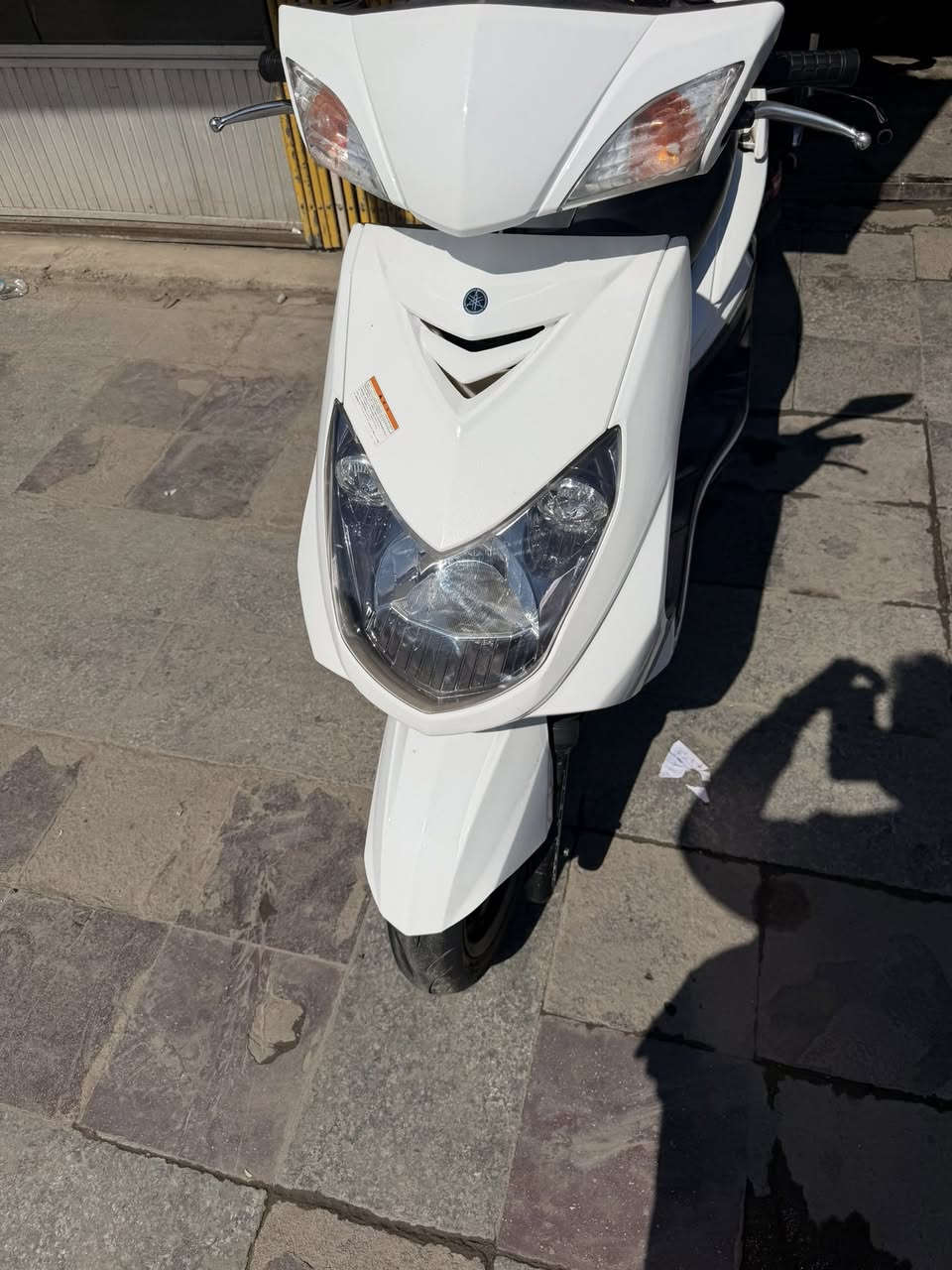 سكنس فحل جديده رمبه سعر 750  الف 
*********** بغداد الشعلة
