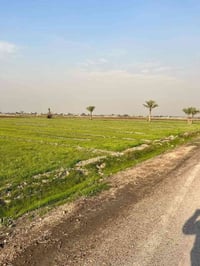 آخر 4 دوانم بلأرض وسعرهن كلهن ب 32 يعني ال 4 دوانم كلهن ب 32 مليون فرص...