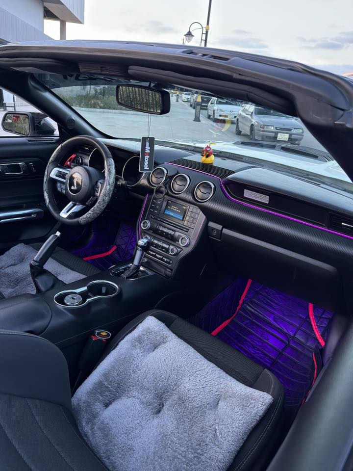 :- فورد موستنك v6 كشف ٢٠١٧
١_السياره ابيض صدفي 
٢_السياره محدث شيلبي GT500
٣_عليه دبات بورلا اتاك +يكس پايب +بواري 
٤_عليه شوته ماركه spektare موضوح بالصوره 
٥_السياره ستيج ١+تورك🔥+🐎pops💣+HP
٦_عليه دسكات ماركت بريمبو جديد
٧_اناره ليد متغير الاوان wifi داخليه ٢٧ لون 
٨_كفر مرايه كفر يدات كاربون لحيه دفيوزر  
٩_وياله قياس ٢٠ + ٢ سايز  التايرات جديده 
١٠_ليدات دفيوزر + الجانبيه مال الدعاميات 
١١_عليه ادامه كامله بلكات ونوزلات ودهن جديد motosel
١٢_السياره ماشيه 75 الف ماشاءلله جديده 
١٣_الغراض المزوده  بيه موجودات البيلاديات مالته 
السياره مصبوغه حزام ماعدا السندوق الخلفي واطراف الجام الامامي ضربته جاملق سكن بيه شويه دواخل بس بشرت السياره كاعده وبالحقيقه احله من الصور 

:-مكان السياره-سليمانيه-***********
:-سعر السياره ١٤٦ ورقه وبيه مجال قليل
:-السياره فقط للبيع بدون مراوس
