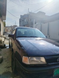 بدون تبديل • باذنجاني • ١٩٩١