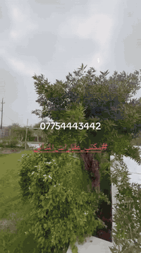 مزرعه طابو 
المدائن منطقه الجعارة 
نص دونم وجه 25 
جاهزة مخدومه بالكامل
تبليط ماء كهرباء 
ماء اساله 
تبعد من شارع المدائن الرئيسي 100 متر 
للاستفسار ***********
#مكتب_عقارات_المدائن
