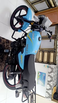 شاينك سونك • باب اول • ٢٠٢٤