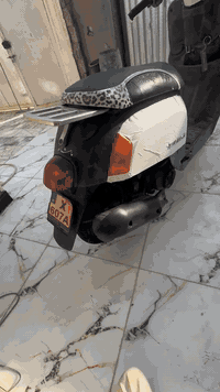 بوليس فول نكره بكل الاوقات سعر قفل قفل 350 ***********
