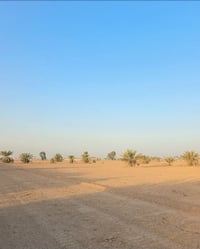 5 دوانم للبيع  جنس العقار طابو زراعي  العنوان ابو غريب السميلات  للأست...