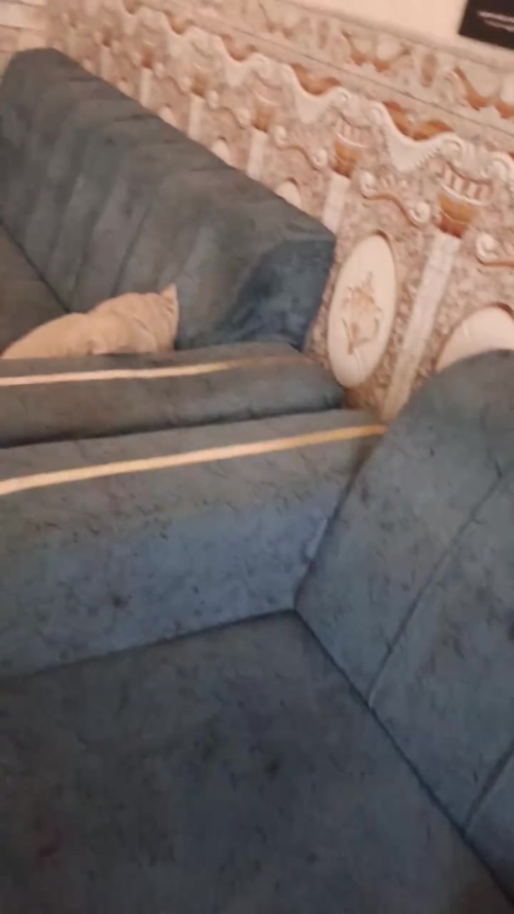 ***********
