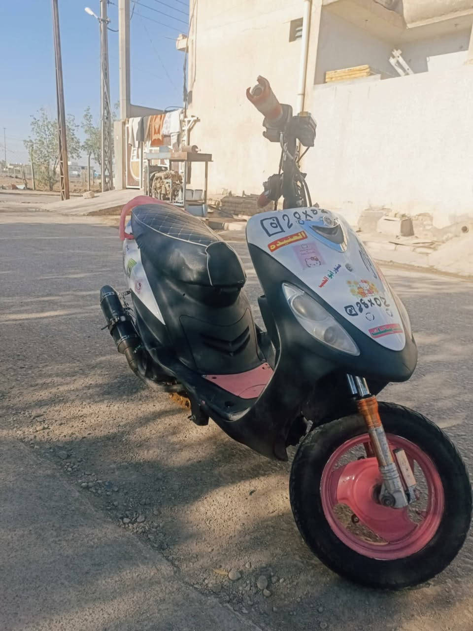 للبيع ماكس منغولي ما مفتوحه اوراق السعر 500وبيهه مجال المكان العماره الدبيسات قليل استفسار اتصال عله الرقم‏‪***********‬‏وانه مكلف بل نشر
