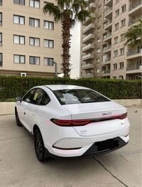 قين بلس • ٢٠٢٥ • ٨٠٠٠