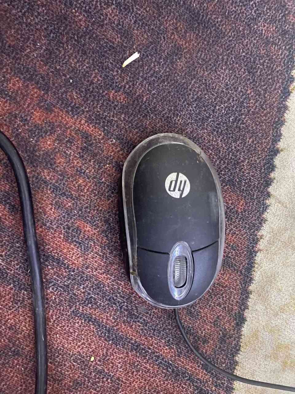 حاسبة HP all one an كيس داخلي شغالة مابيها اي نقص مواصفاتها بسيطة وبيها كرت شاشة 4 كيكا مكاني بغداد السعر 130


**إذا كنت صاحب هذا الإعلان وتريد حذفه لأي سبب، رجاءا أرسل رسالة إلى الدعم الفني**