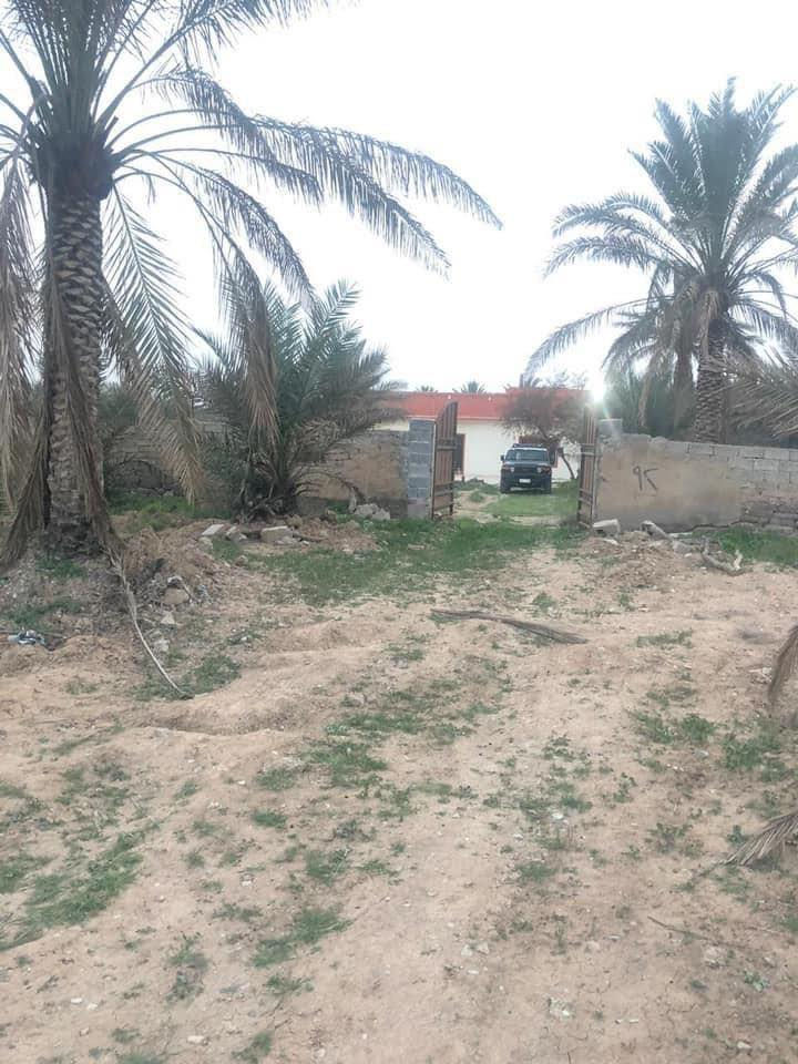 البستان 7 دوانم و188 متر  الموقع ركن ثلاث شوارع الها ويحتوي على بيت مسلح طابق واحد واربع غرف نوم كبيرات وخدمات حمام ومطبخ وتواليت  ويحتوي ايضا على حقل عجول ونخل تمر حمال ومولدة كهرباء وطني بنص البستان وبئر ماء  عدد اثنان. 
الواجهة البستان ( المزرعة) 
130 متر او اكثر والنزال 140 او اكثر. 
السعر 485 مليون طابو زرعي صرف وباسمي ثاني يوم تحويل سند 25
هاتف ***********
