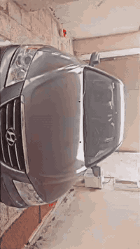 سوناته • ٢٠٠٩ • وارد امريكي