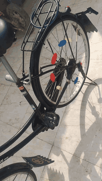 سلام عليكم بايسكل حاويه ياباني البيع  
رايده 95 وبي مجال مكاني الناصريه مركز الشراي 
يتصل على رقمي ***********
