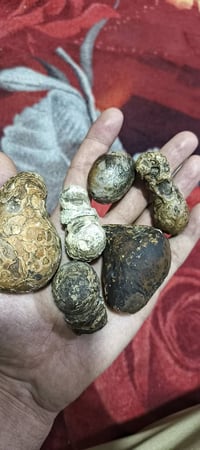 أحجار سلطاني • أحجار سليماني • تحف نوادر