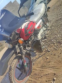 بوكسر 21 • بدون أوراق • شروين دلي عباس