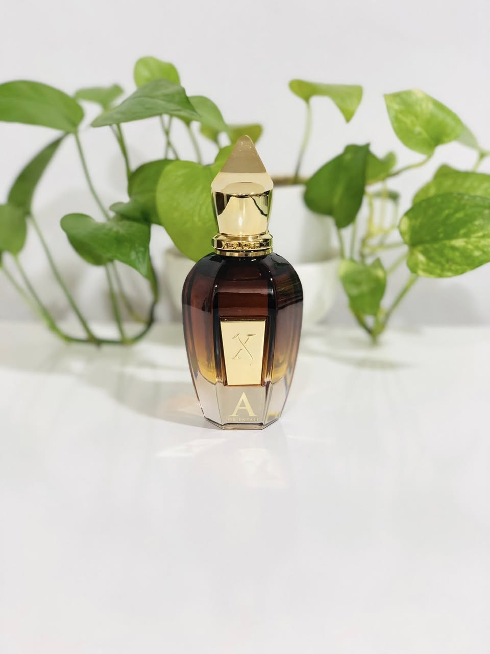 السلام عليكم ورحمة الله وبركاته 

مجموعة جميلة من عطور النيش الاصلية للبيع فقط

الاسعار وتفاصيل اسفل الصور👇

يوجد توصيل لجميع محافظات العراق


**إذا كنت صاحب هذا الإعلان وتريد حذفه لأي سبب، رجاءا أرسل رسالة إلى الدعم الفني**