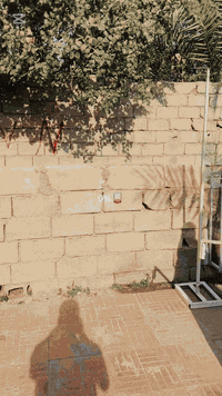 🪬التميز مع لارين🪬 لتنسيق المناسبات بكامل تفاصيلها 🩵
لتنفيذ كوشات الاعراس🎺 والخطوبة 🤵🏻‍♂️👰🏻‍♀️🩵
يتوفر وثائق للعرسان 📑 🩵
يوجد العديد من موديلات داخل الصفحة 📌فقط ديالى 🩵
للحجز او الاستفسار يرجى مراسلة الصفحة 🩵
***********☎️ وأتساب🩵#كوشات_ديالى #كوشات_بعقوبة #كوشات_المقدادية @إشارة
