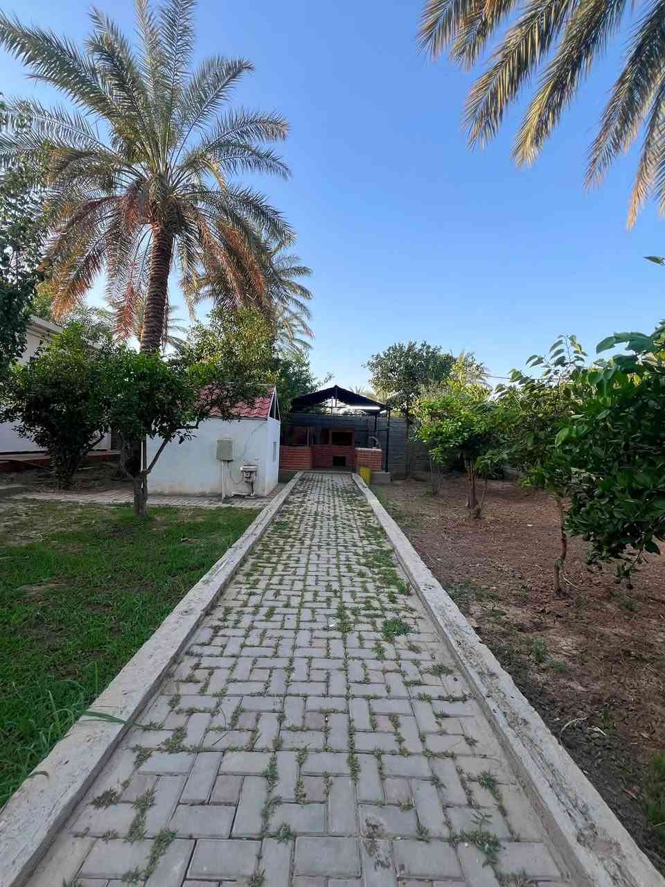 للبيع مزرعة دونم 2500 متر في بغداد الراشديه منطقة الابو حياة مكونه من بيت ونخل وحمضيات ومحميه جدا كبيره ومسبح 7 في 7 وبير ومكان للمشاوي الواجهه 60 نزال 37 السعر 600 مليون للاتصال ***********
