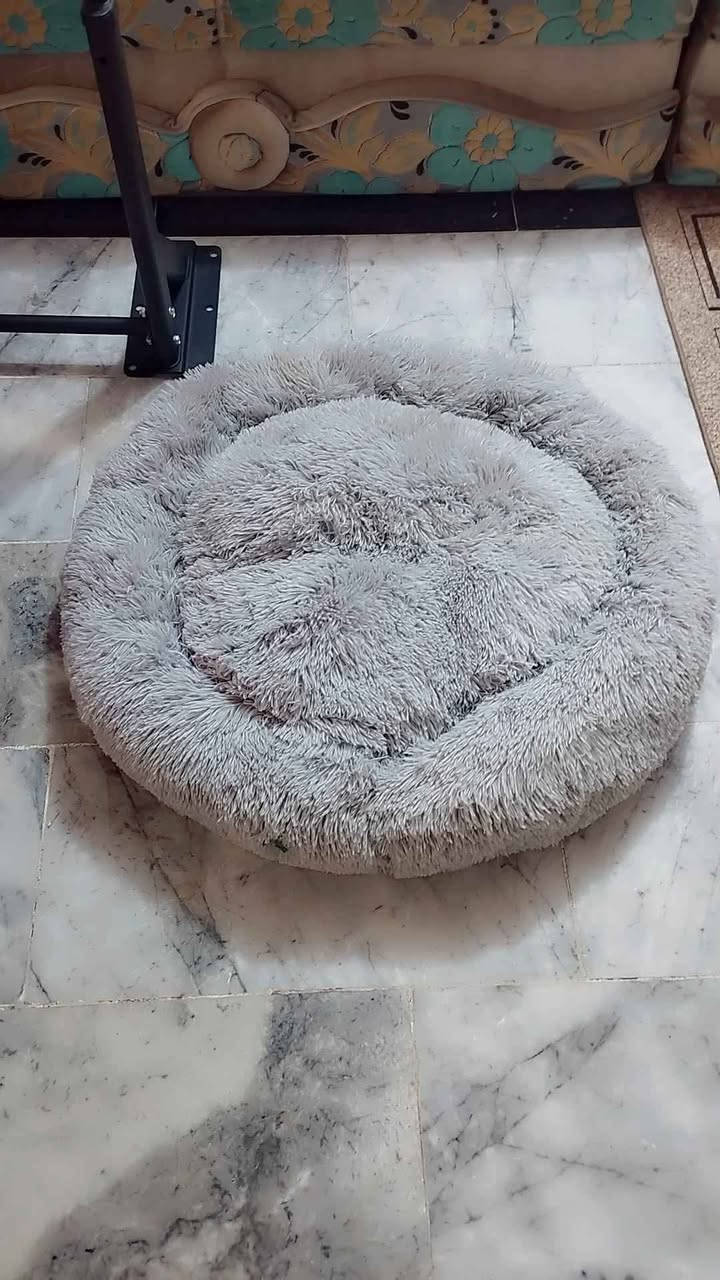 جديد غير مستعمل النجف, العراق


**إذا كنت صاحب هذا الإعلان وتريد حذفه لأي سبب، رجاءا أرسل رسالة إلى الدعم الفني**