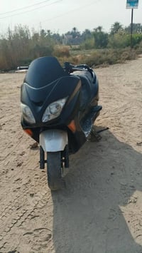 فورزه ٢٠٠٨ • عاطلة • صدر الدغاره يم