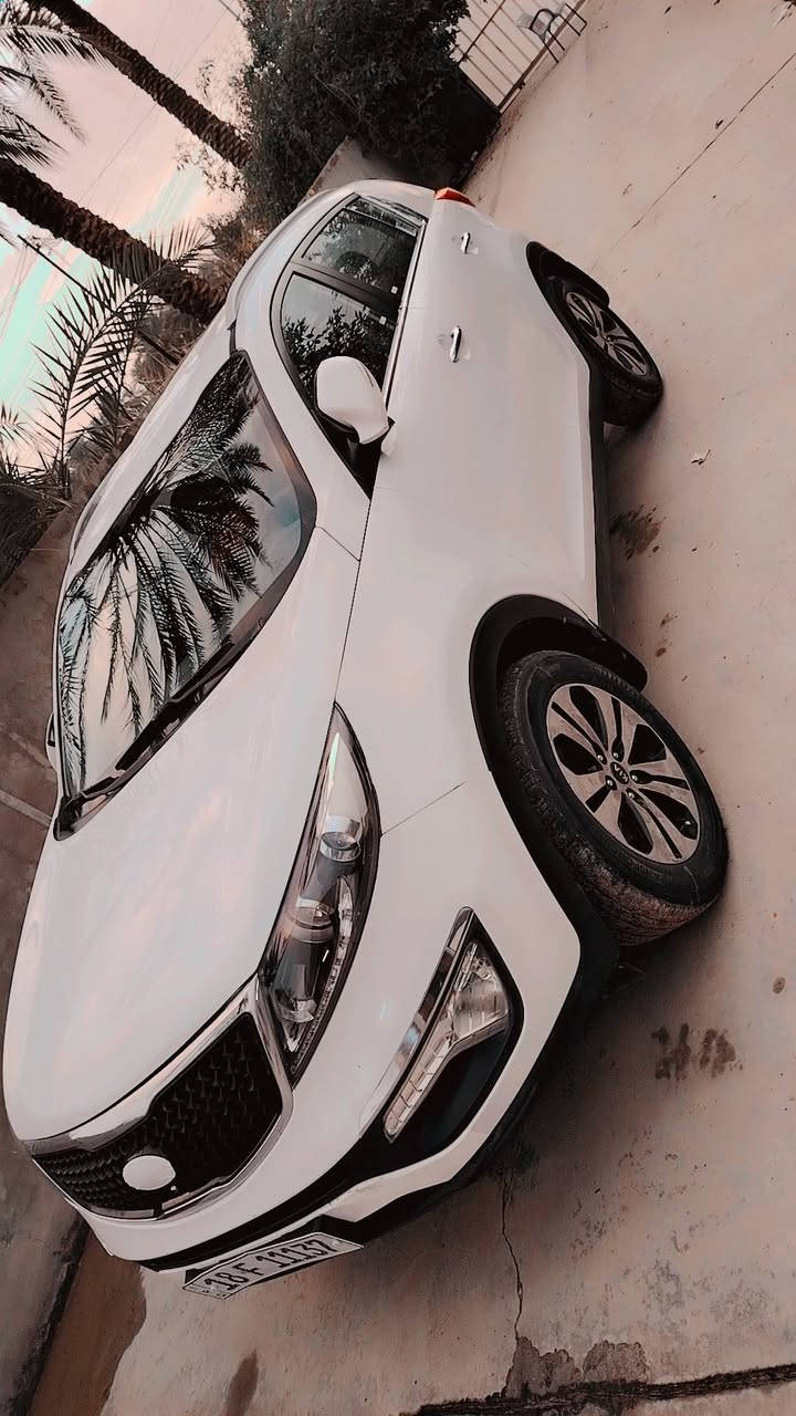 سبورتج موديل ٢٠١١ بابل بأسمي سنويه مجدده ارقام انكليزي مكفوله عدا البنيد مبدل فقط
مكينه كير مكفول

السعر ١٣٣ وبيها مجال

***********
