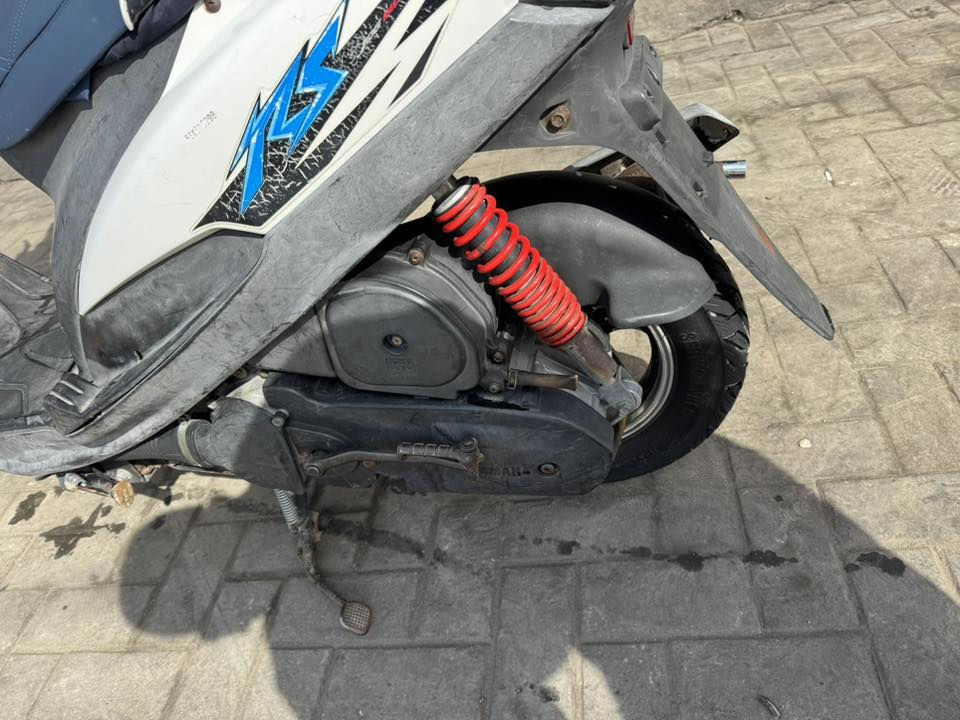 مراوس بسكنس جبلي حسب القناعة مكاني بصرة حيانية ***********
