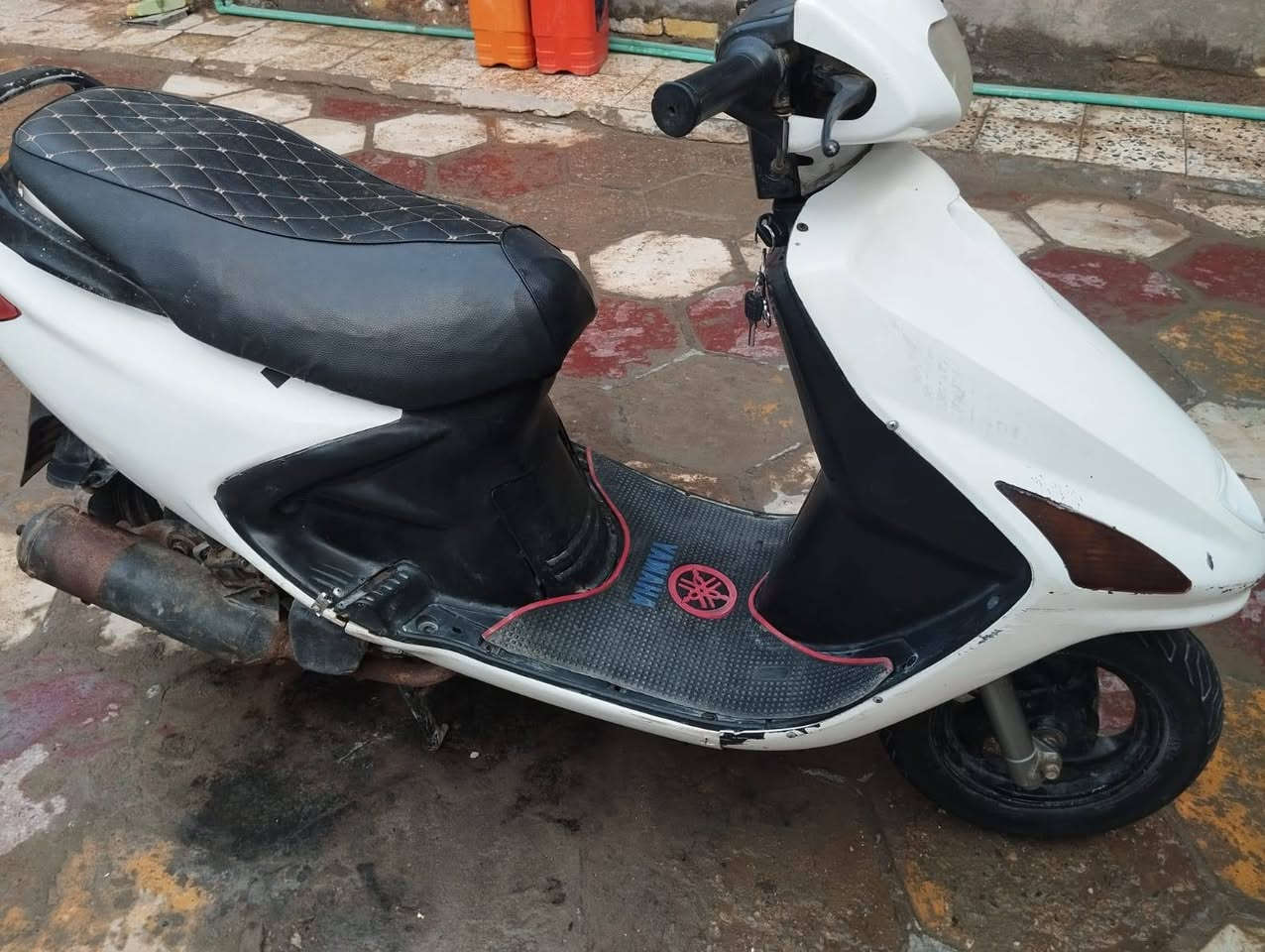 سلام عليكم دراجه فراشه اللبيع مفتوحه مره وحده نهضه تخببل نكرت سلف سلف جديد وباتري جديد يعني متخسر عاليه ربع اللبيع مكان ناصريه قضاء الغراف والشراي يشلع اعيوني ب 300 وبيه مجال ***********
