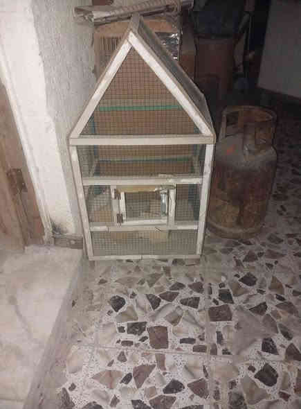 قفص مال بلابل للبيع مال طيور حب ومال ابو التمر. للبيع مكاني تقاطع النهرواني سعره مال ابو التمر 15 ومال طيور حب 20 شراي اتصل وتدلل ***********
