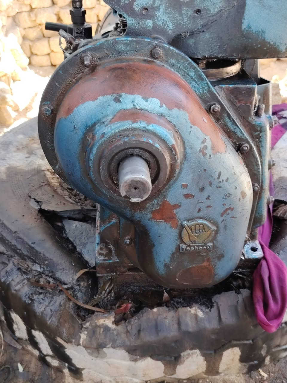 مولده هندي لبيع 5احصان شغاله مابي شي راس توليد 7كيفي مكان نجف لاشرف سعر خاص ***********
