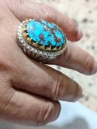 شابوري • انتيك • عنكبوتي