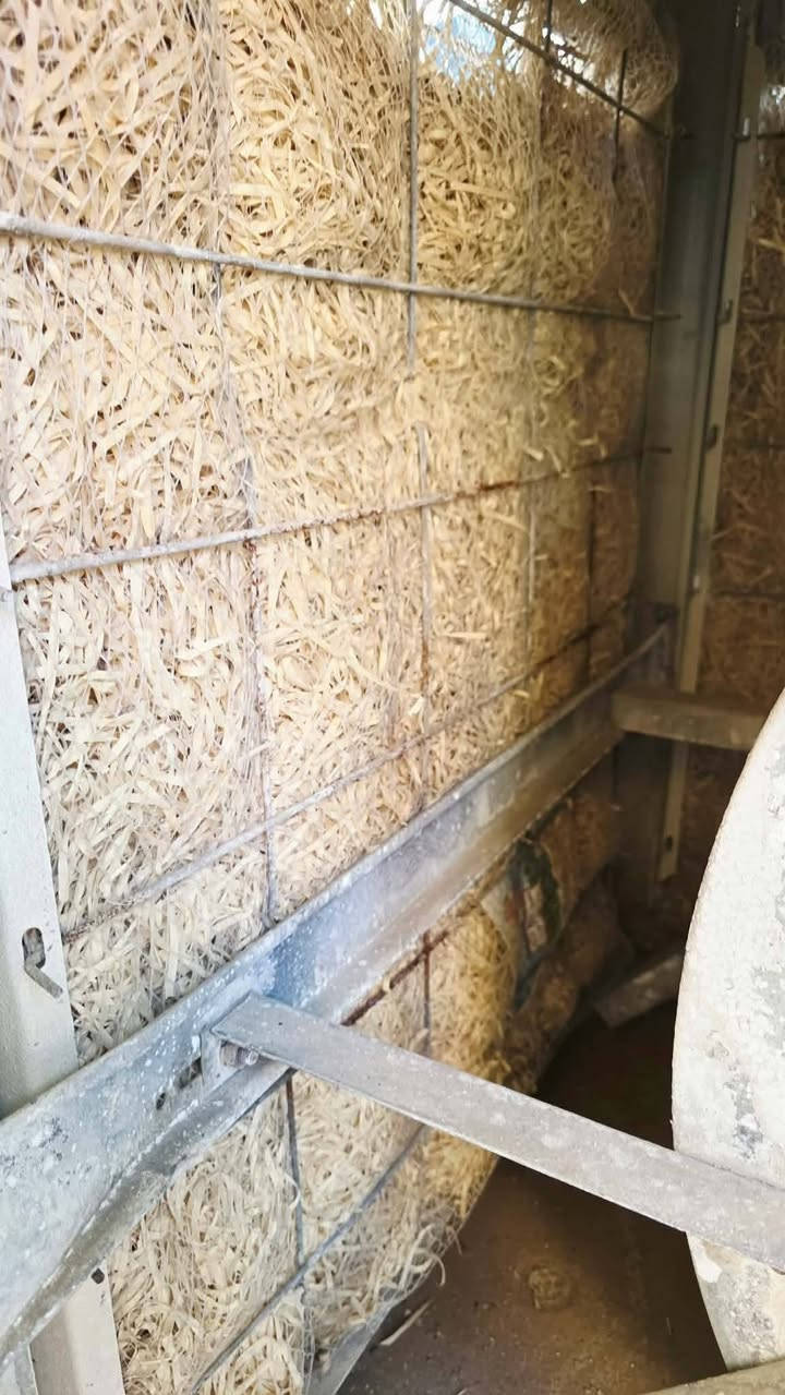 مبرده رويال شرط الاصلي الثقيل بشرط ضمان سعر ١٧٥ حجم ٤ ونص مكان قادسيه ثانيه


**إذا كنت صاحب هذا الإعلان وتريد حذفه لأي سبب، رجاءا أرسل رسالة إلى الدعم الفني**