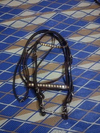 لجام جلد • جلد اصلي