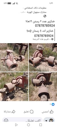 خنازير للبيع اني مكلف بالنشر