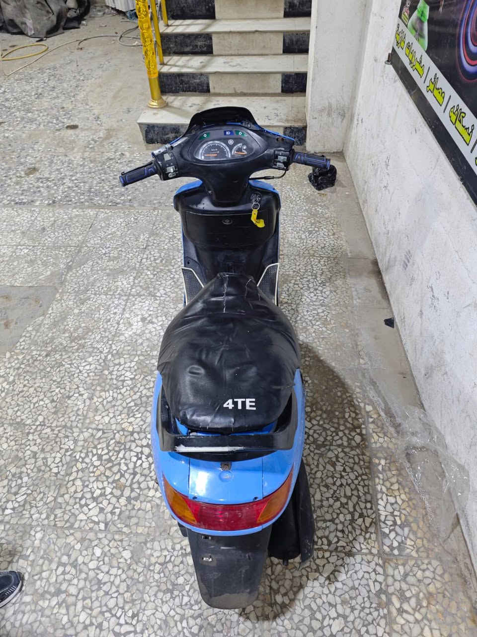 فحل للبيع 350 وبيها مجال مكاني بابل ‏‪***********‬‏
