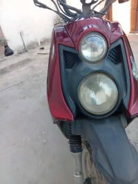 سكنس جبلي • أوراق • نقوصات بسيطة