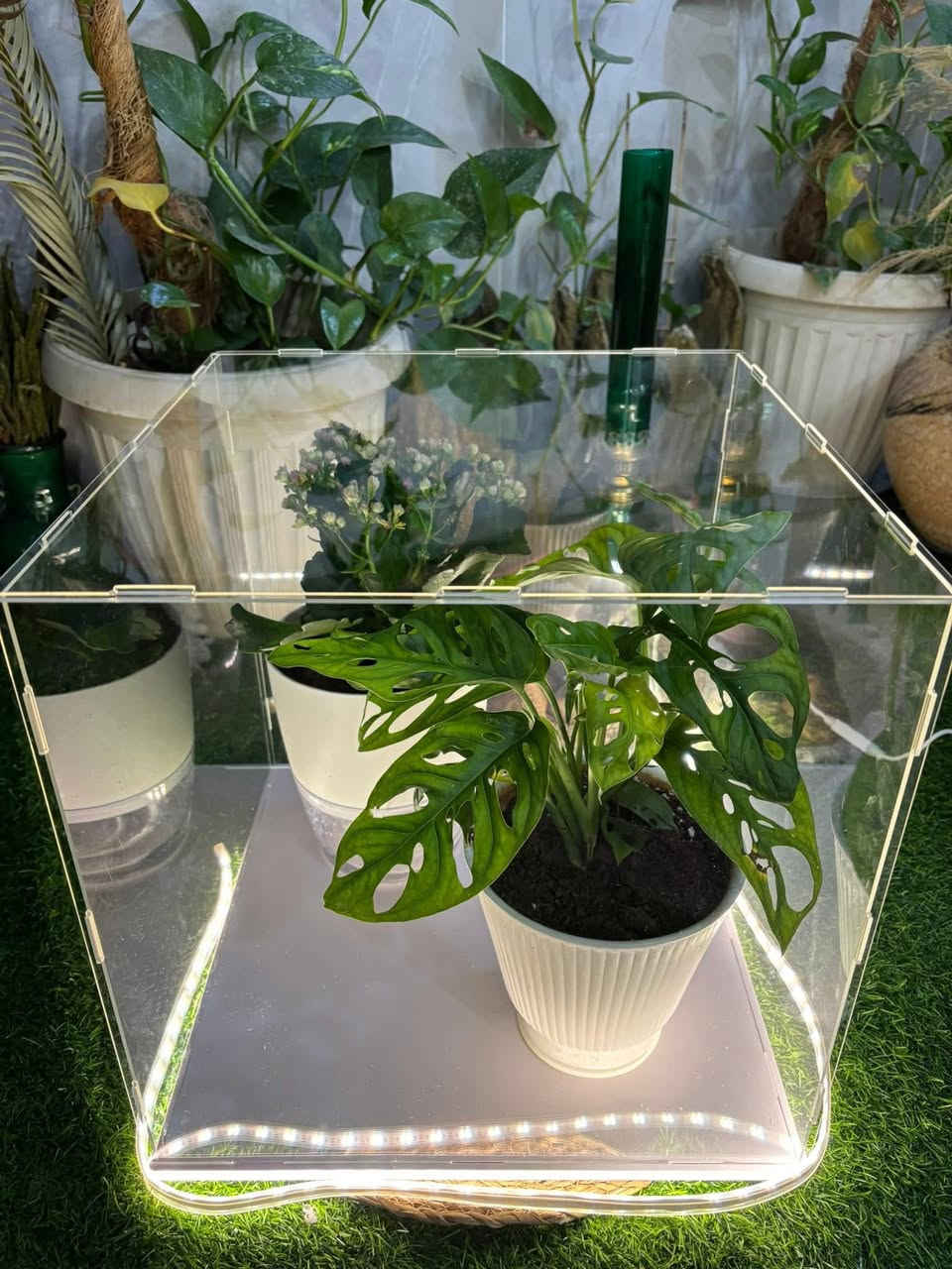 صندوق اكرلك متوفر قطعتين


**إذا كنت صاحب هذا الإعلان وتريد حذفه لأي سبب، رجاءا أرسل رسالة إلى الدعم الفني**