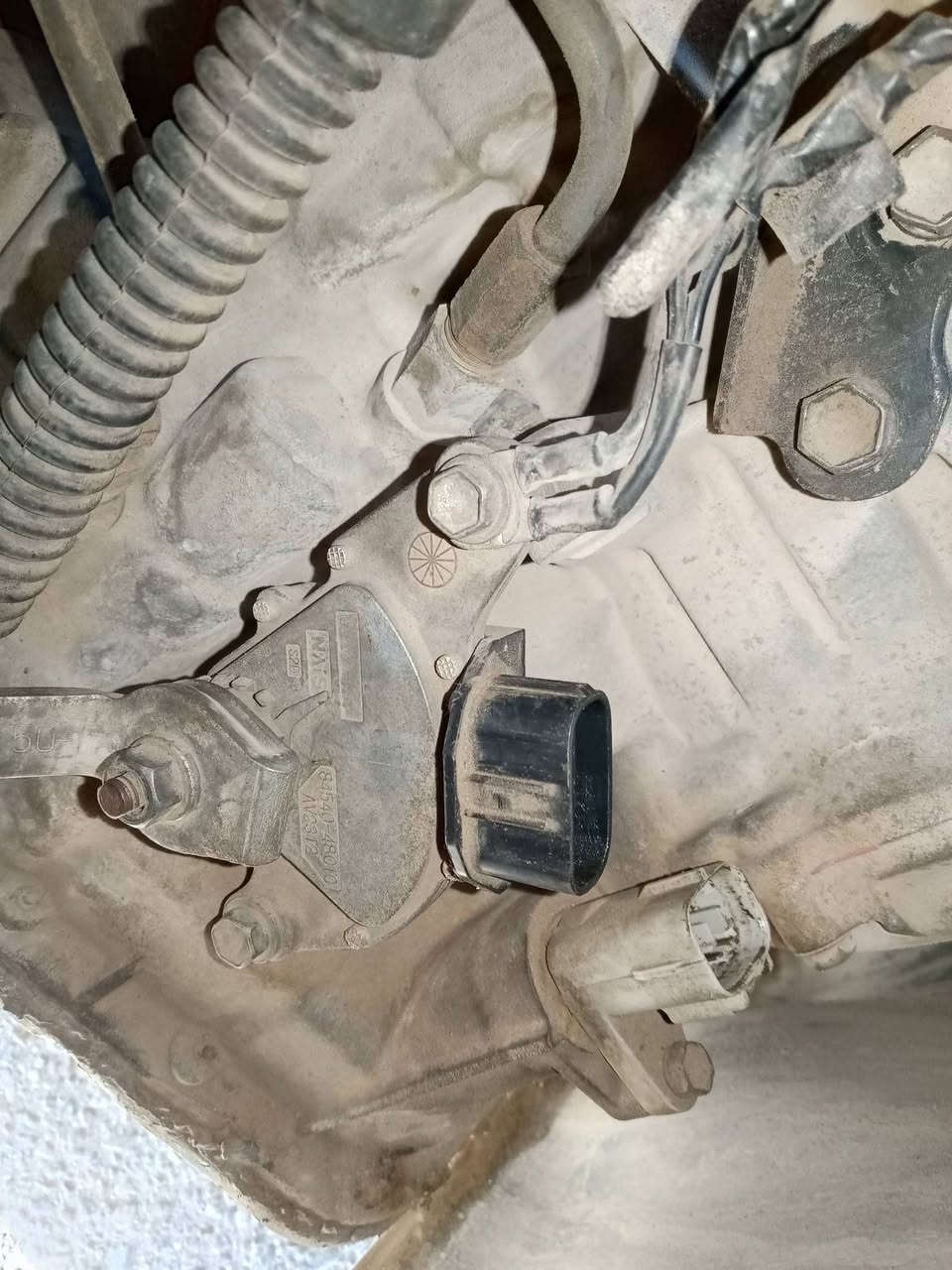 سلام عليكم عندي كير كورلا للبيع نحله موديل 2008امريكي 5خطوط عل فحص وحاليا مشدود بل سياره تجي تفحص وتقتنع يله تاخذه فقط  بي بولبرن مال كسن  300الف بغداد تصال***********
