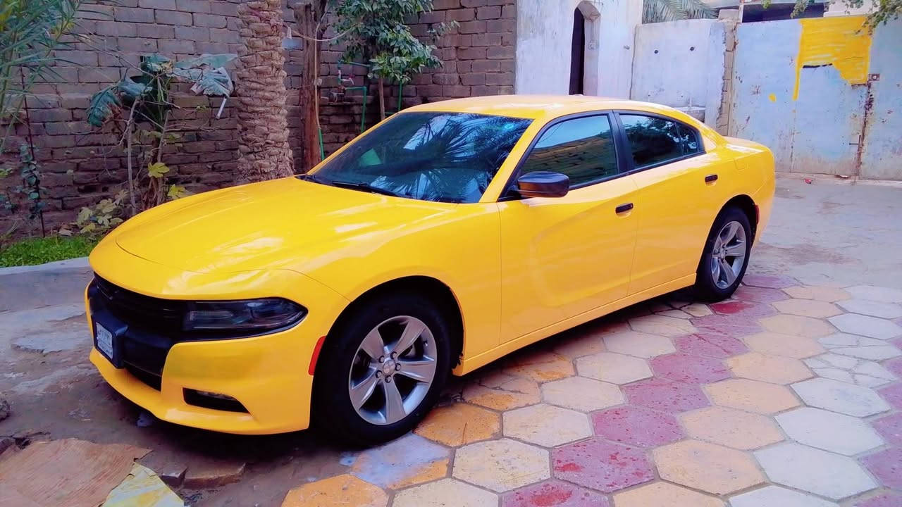 جارجر 16 23 مرمزكندي كفاله عامه سيارة جاهزه تخم تاير حداديه تبريد منضمه غاز ترقيم جديد رقم بغداد ض بصره قضاء المدينه 190 وبيها مجال ***********
