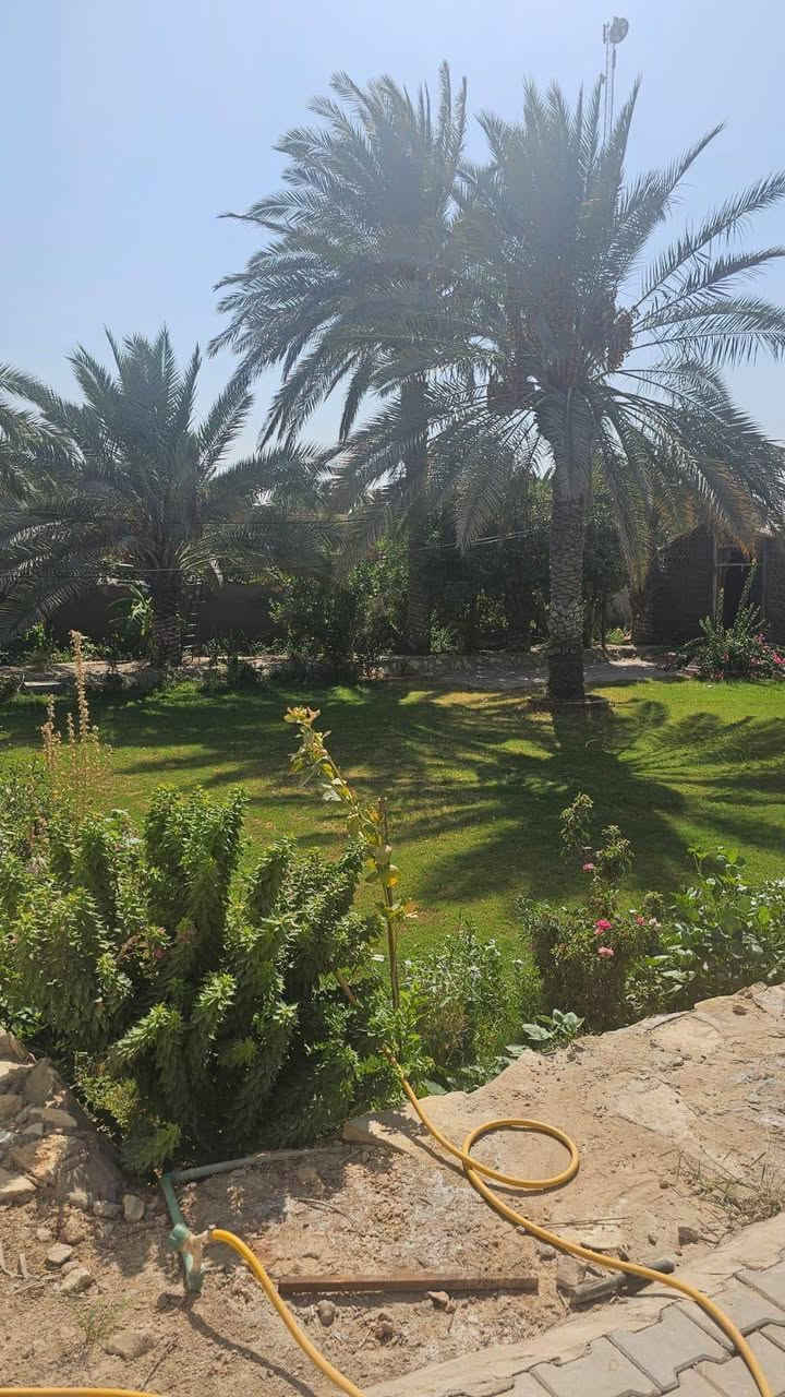 سلام عليكم بستان للبيع دونم وثلث الموقع ناحية العباسية الاتصال على الرقم ***********

